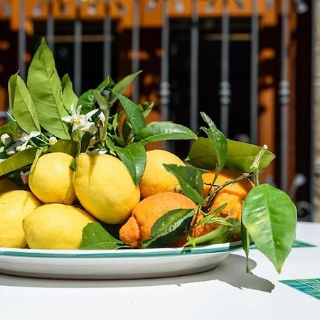 Apartment Sorrento Coast With Garden Il Glicine Piano di Sorrento
